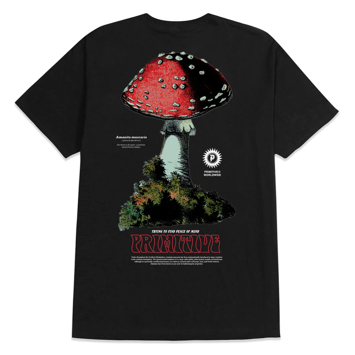RED CAP TEE - Image 2
