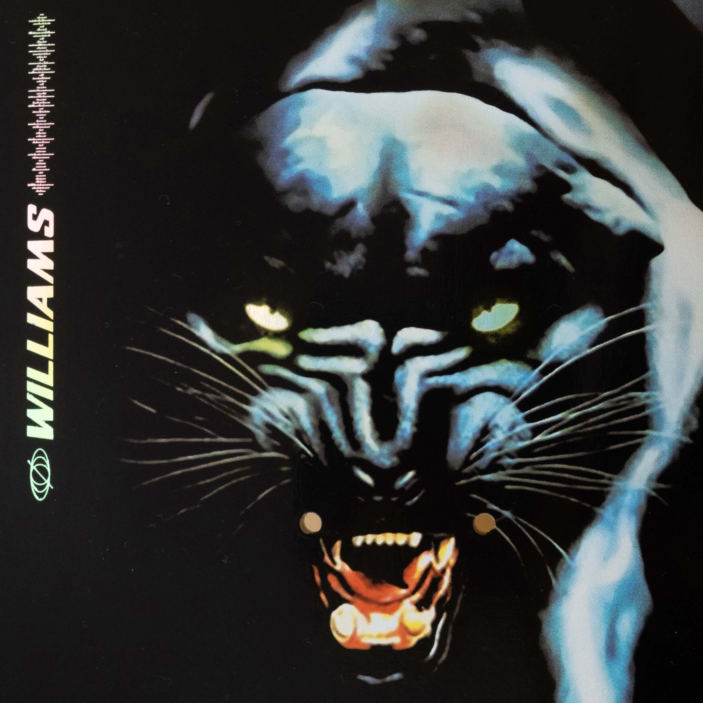 WILLIAMS PANTHER DECK - Image 3