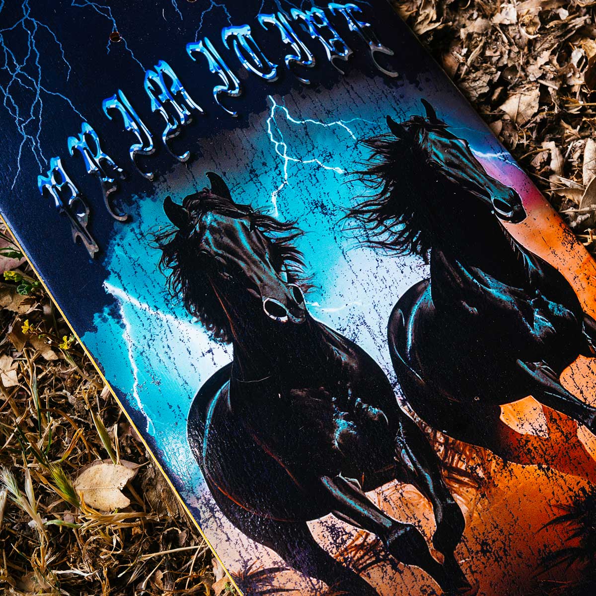 WILLIAMS STORM DECK - 8.5" - Image 3